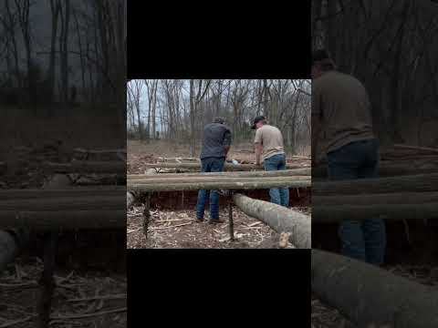 Notching out a floor board for our bunker blind #hunting