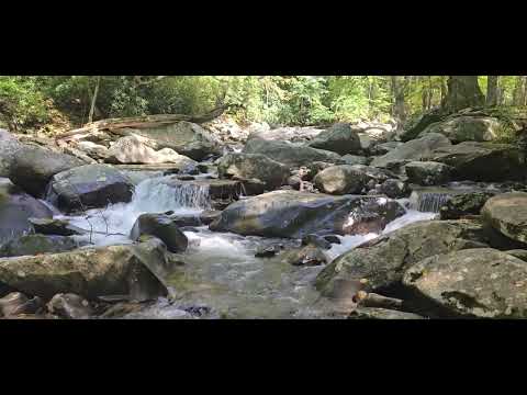 River Flowing - Great Smokey Mountains National Park, TN