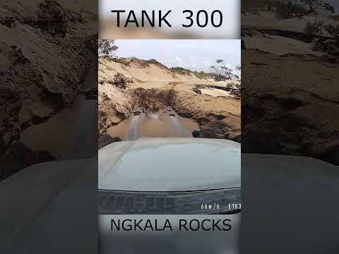 Tank300 Does NgKala on FRASER? #shorts #tank300 #fraserisland #K'gari #gwmtank This Car is Stock!