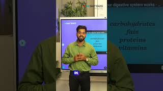 Interactive Smart Board with YouTube Annotation Feature | Best Smart Board #smartboards