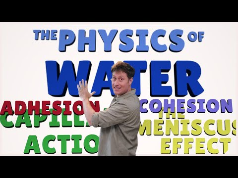 The Physics of Water