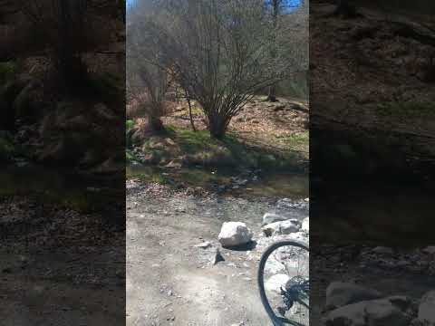 #gravel #cycling #bikepacking #viral #shorts #orioloromano #cyclist #adventure #mylife