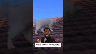 Trouble, trouble, trouble… #catmomlife #catparentproblems #kevinhartmeme