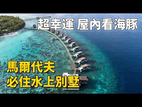 不能錯過的馬爾代夫特色水上屋｜房間內幸運看海豚｜家礁浮潛｜美味吃不停｜如何在馬爾代夫的小島渡過一週（下）