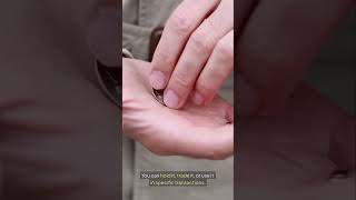 What Is OFFICIAL TRUMP Coin #cryptocurrency #crypto #trumpcoin