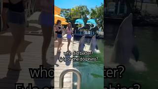 stop copying us!! 🐬#shorts #tiktok #dolphins