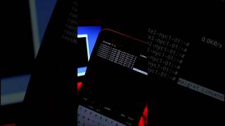 "Inside the Hacker's Toolkit: Unraveling Information Gathering Methods#termux #hack #shorts