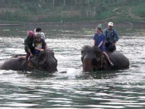 Elephants and me