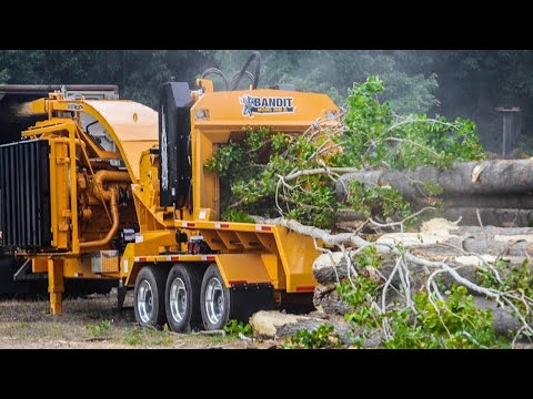 Incredible Powerful Wood Chipper Machines, Extremely Fast Monster Tree Shredder Machines Work