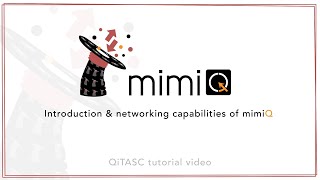 Automated UI testing with software tool mimiQ | Tutorial