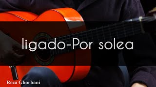 Legato Exercise for Soleá | Improve Your Flamenco Guitar Technique