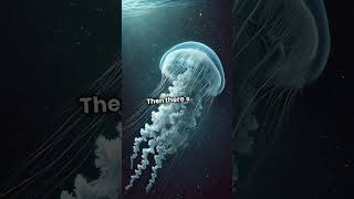 6 Crazy Facts That Will Blow Your Mind!  #historyfacts #learnsomethingnew #quickfacts