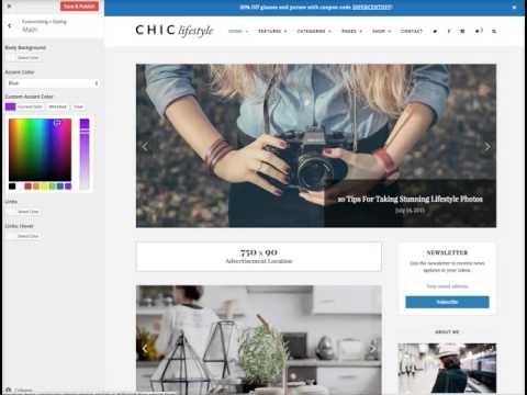 Customizing Your Design - Chic WordPress Theme
