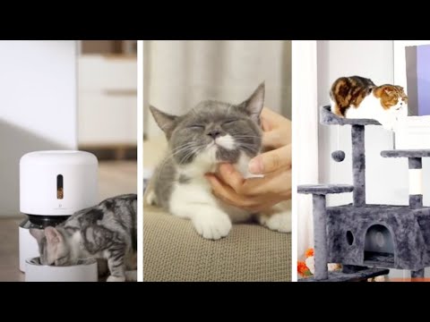 🐕 Top Pet Essentials & Innovative Accessories #3 🐾 Keep Your Pets Happy and Healthy with These Picks