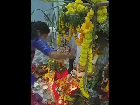 #tulsivivah#goddess tulsi mata🙏 subscribe