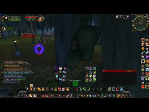 Priest full buffed me before the savage Alli claimed one of thier own lives!