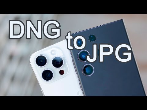 DNG to JPG Converter: The Best Way to Make Your Photos JPEGs