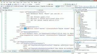 Microsoft Expression Web 2 Promo Videos - Powerful Server Technology