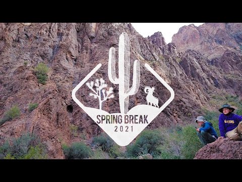 KOFA - Joshua Tree - Palm Springs  Roadie 2021