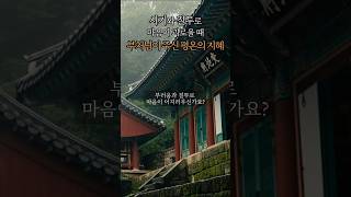 시기와 질투로 마음이 괴로울 때, 부처님이 주신 평온의 지혜 3가지 #질투 #삶의지혜 #스님 #부처님말씀 #지혜