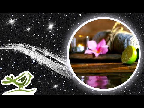 [NO ADS] The Spa | Relaxing Piano Music & Soft Water Sounds for Sleep with Black Screen