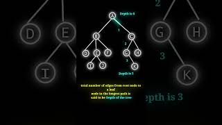Depth of Binary Tree | Data Structure #shorts #dsa #computerscience  #coding #engineering #tree #cse