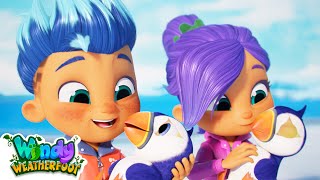 Baby Puffin Rescue! | FULL EPISODE | Windy Weatherfoot | Cartoon for Kids