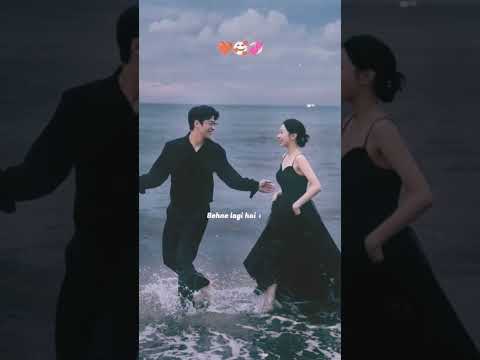 Ek jaisa hall tera mera #shorts #viralshorts #viralvideo #fyp #song #hindisong #arijitsingh #support