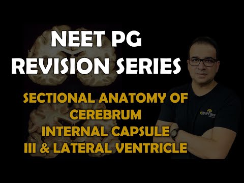 NEET PG- SECTIONAL ANATOMY OF CEREBRUM, INTERNAL CAPSULE, III & LATERAL VENTRICLES