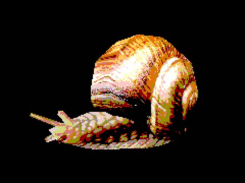 snail