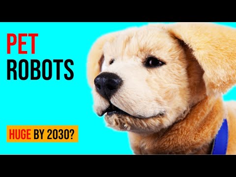 How HUGE Will Pet Robots Be By 2030?
