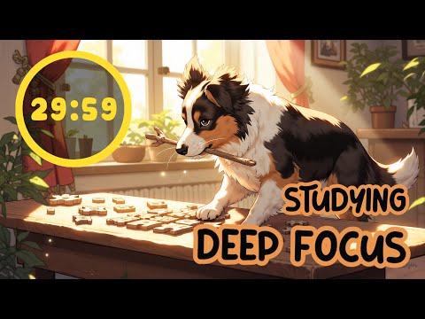 📡 AI-Curated Focus Music | Study & Work Smarter | Pomodoro 30/5
