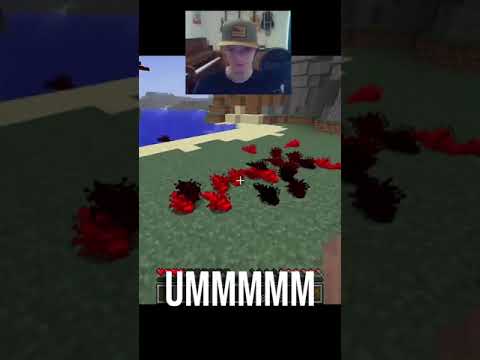 Minecraft But With Real Redstone Bugs