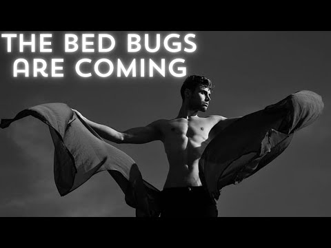 The bed bugs are coming