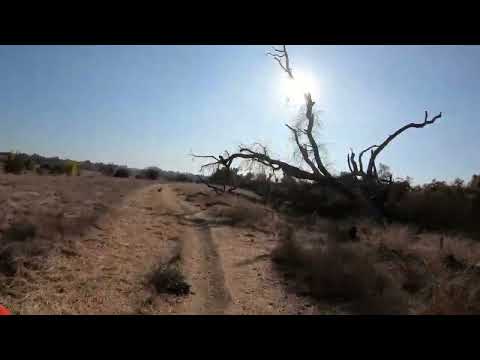Mountain Biking at Woodward Park Fresno, Ca
