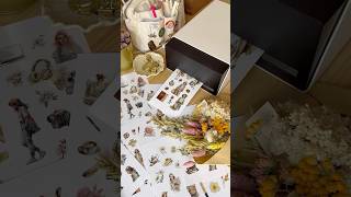 The BEST photo sticker printer and cutter I’ve ever had the pleasure of using!✨ @lienephotoprinter
