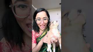 Look at this😗🤣 #kajalpandey #dankememes #comedy #youtubeshorts #funny #explore #memes #explorefeed