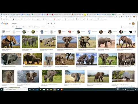 Adding an image to a webpage