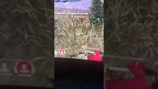 Game exploits I never did when the bugs did it