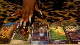 Something Coming To An End For These Snakes That Have Anacondas In Their Own Swamp