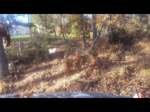 Kill shot from deers point of view