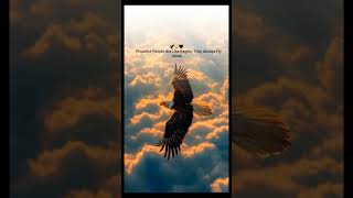 #EagleMindset #PowerfulAlone#LoneWolfVibes #SuccessMotivation#RiseAboveTheRest#SkyIsNotTheLimit#life