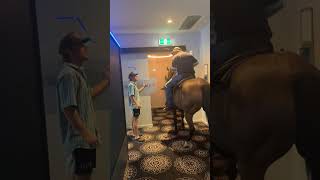 Keen for a slap? Neigh #giddyup #tgif #justhorsinaround