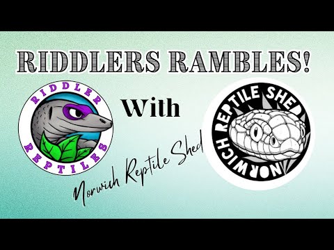 EP04 DIY Reptile Enclosures with Norwich Reptile Shed!
