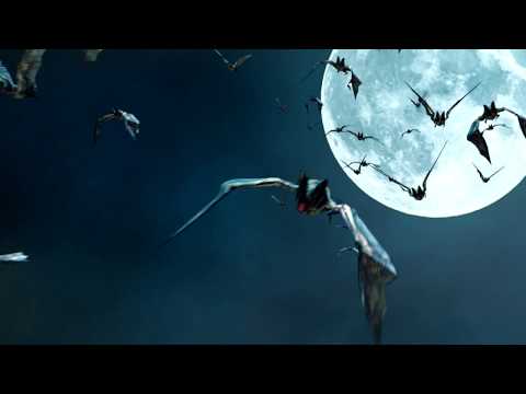 Halloween Bats Green screen