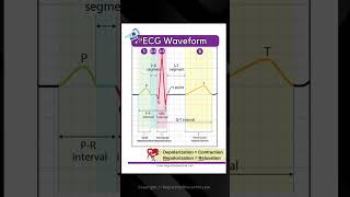 ECG Basics in 9 Seconds for Nursing School Students, NCLEX, & More!!