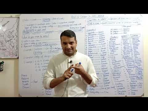 The Role Of Diction In Essay-Writing | How To Ameliorate Diction for Essay-Writing | Learn English