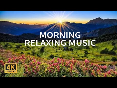 3 Hours Morning Relaxing Music - Positive Energy, Yoga, Relax Mind Body, Inner Peace Music