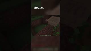 From Forest to Mineshaft  An Unexpected Minecraft Adventure!