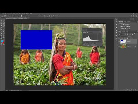 Learn about the histogram in Photoshop